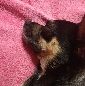 Meet your Posher, Mandy